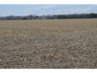 Property photo 3 - 173 +/- Acres Offered in 3 Tracts - Ohio Farmland